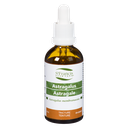 Astragalus - 50 ml