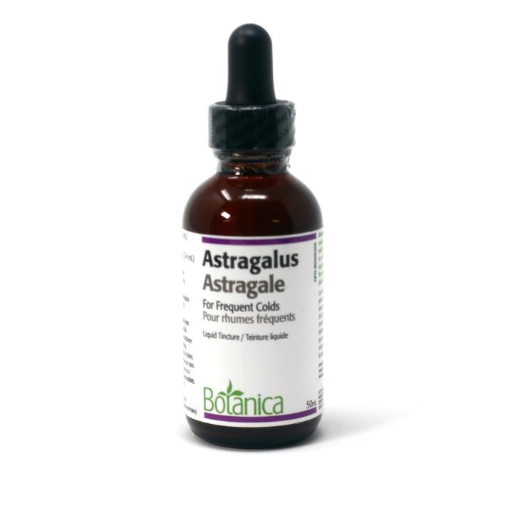 Astragalus - 50 ml