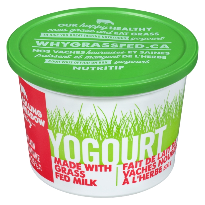 Yogurt - 3.25% Plain - 500 g