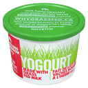 Yogurt - 3.25% Plain - 500 g