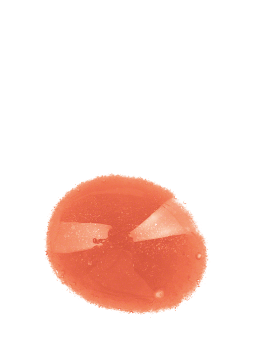 Lip Gloss - Peach - 10 ml