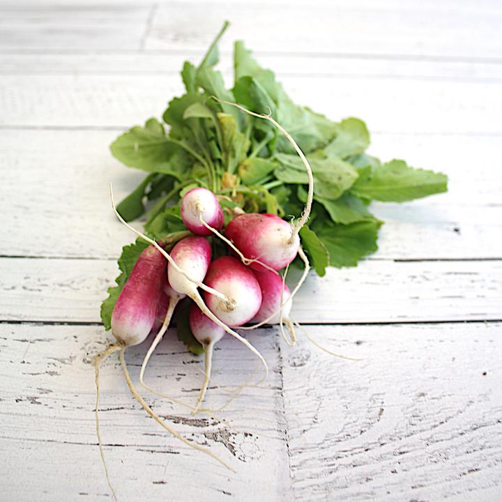 French Breakfast Radish Bunch