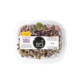 Sprouts - Purple Radish - Microgreens