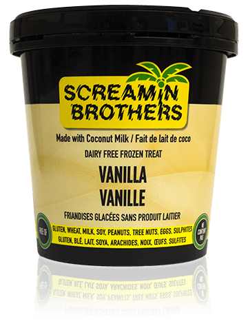 Dairy Free Frozen Treat - Vanilla