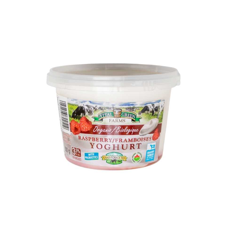 Yoghurt - Raspberry