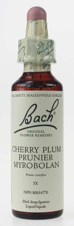 Cherry Plum