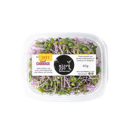 Sprouts - Red Cabbage - Microgreens