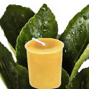 Essential Votive - Citronella