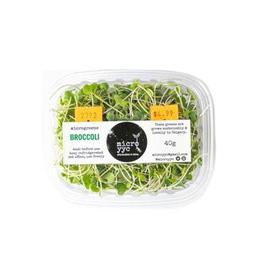 Sprouts - Broccoli - Microgreens
