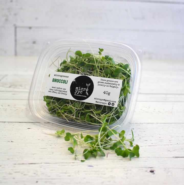 Sprouts - Broccoli - Microgreens