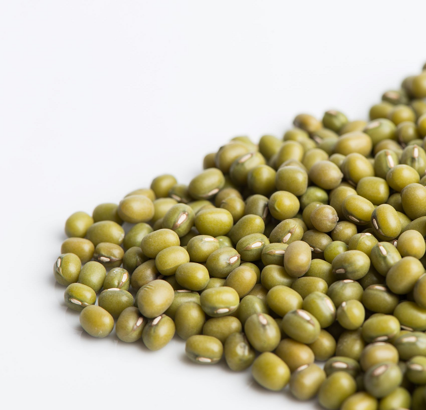 Mung Bean