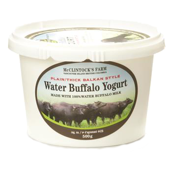 Buffalo Milk Yogurt - Plain - 7.3%