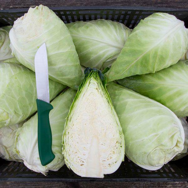 Caraflex Cabbage