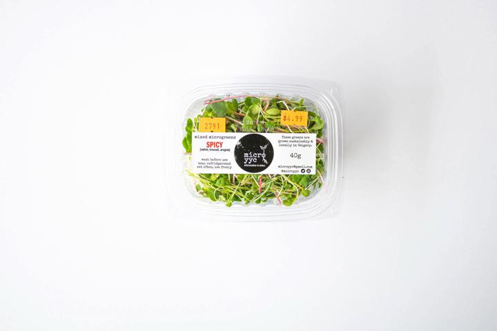 Sprouts - Spicy Mix - Microgreens