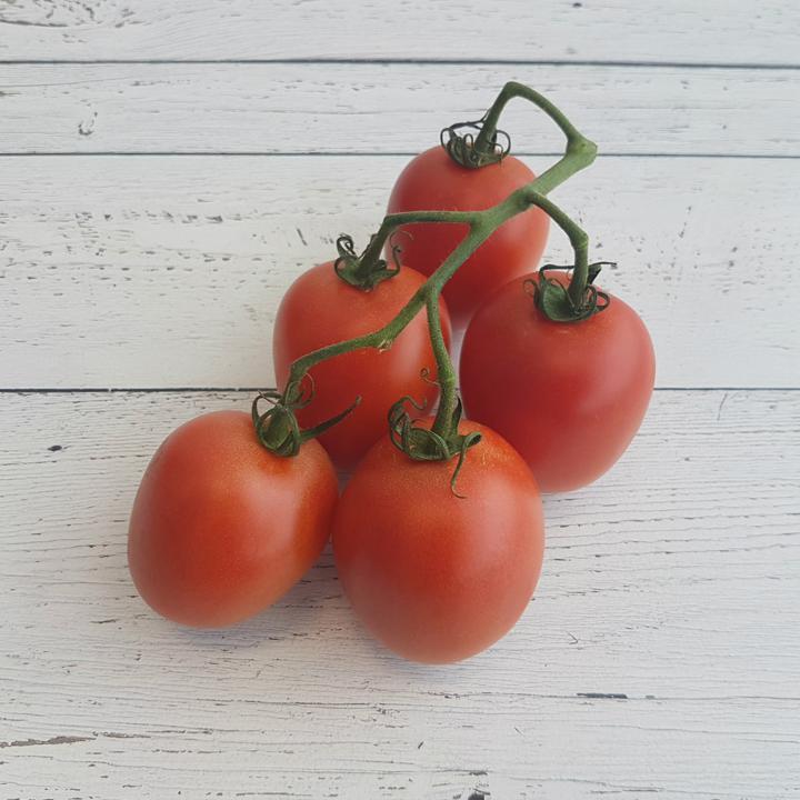 Mini Roma Vine Tomatoes