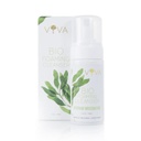 Bio Foaming Cleanser