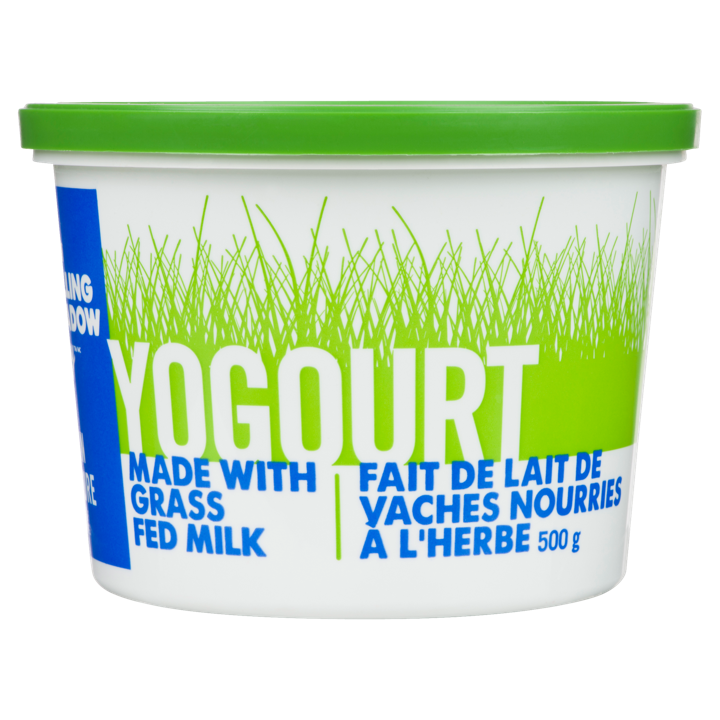 Yogurt - 2% Plain