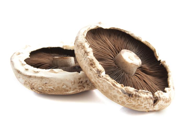 Mushrooms Portabella Org