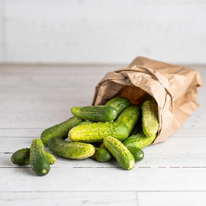 Gherkin Cucumbers