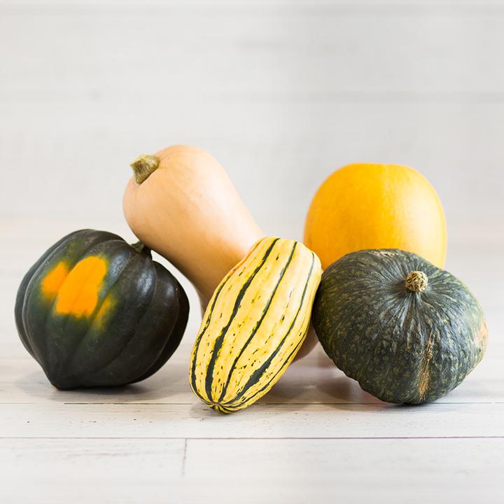 Squash All Varieties Org