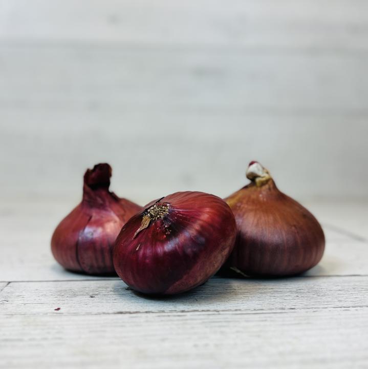 Onions Cipollini Red Org