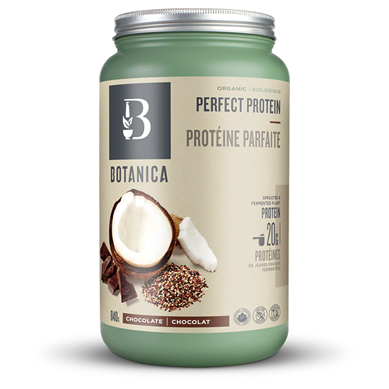 Perfect Protein - Chocolate