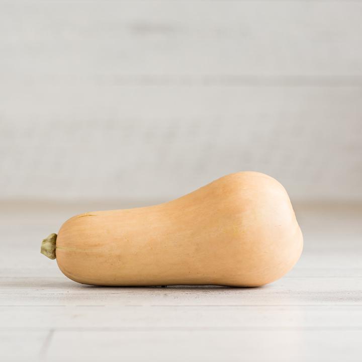 Squash Butternut Org