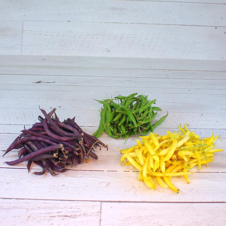 Mixed Colour Beans