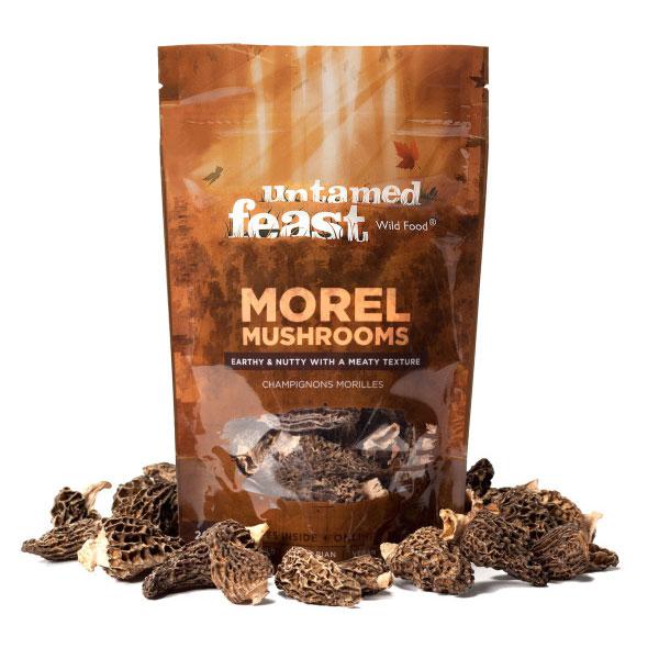 Morel Mushrooms