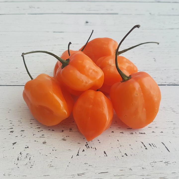 Peppers Habanero Org