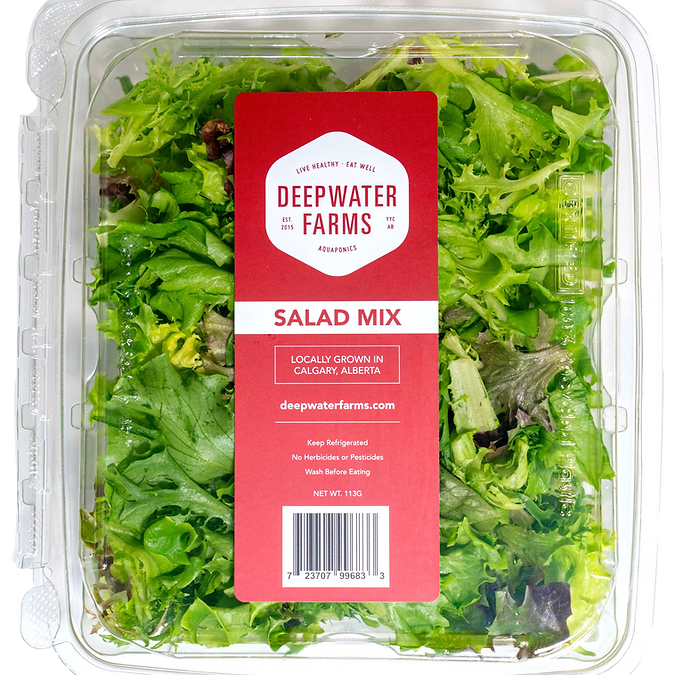 Aquaponic - Salad Mix