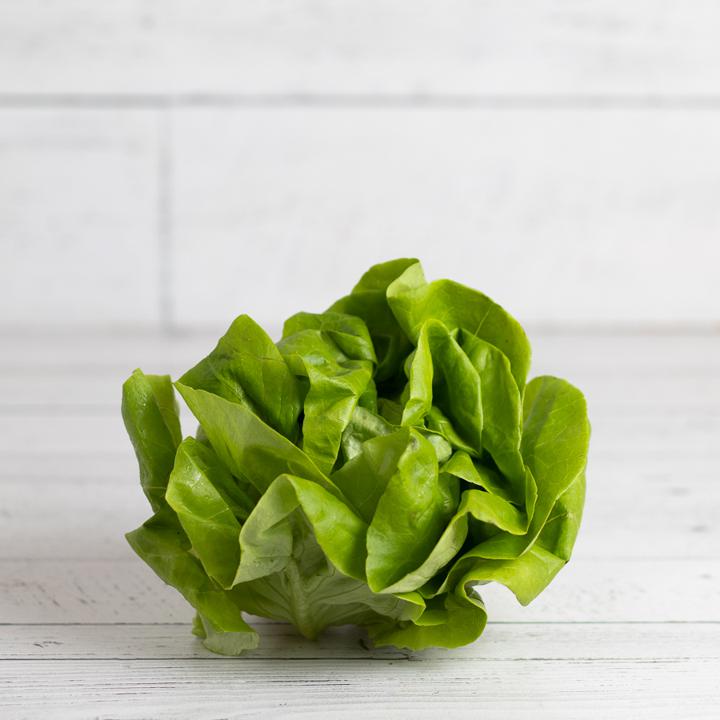 Butter Lettuce