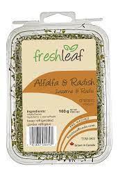 Alfalfa &amp; Radish Sprouts