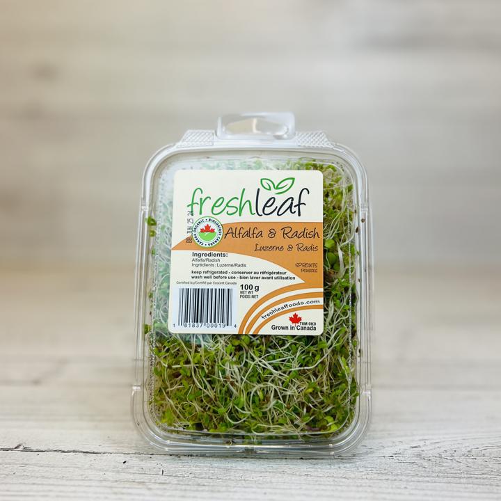 Alfalfa &amp; Radish Sprouts