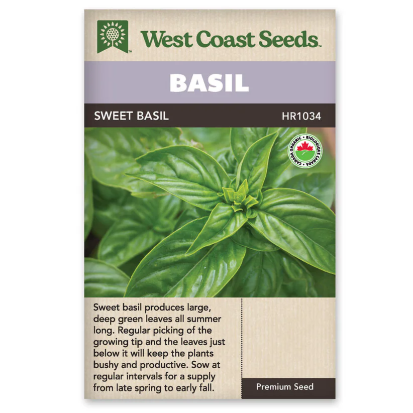 Seeds - Sweet Basil