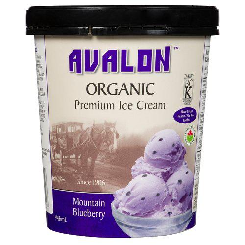 Mountain Blueberry Ice Cream