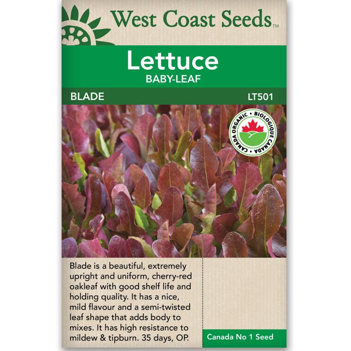 Seeds - Blade Lettuce Certified Organic