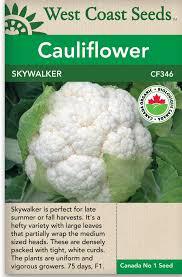 Seeds - Skywalker Cauliflower Certified Organic