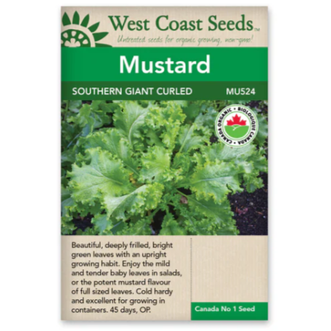 Seeds - Southern Giant Mustard Certified Organic