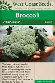 Seeds - Hybrid Broccoli Blend