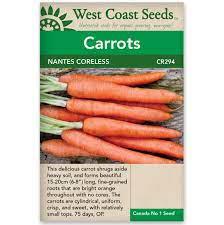 Seeds - Nantes Coreless Carrot