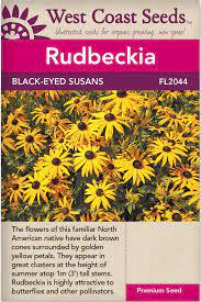 Seeds - Black Eyed Susan Rudbeckia