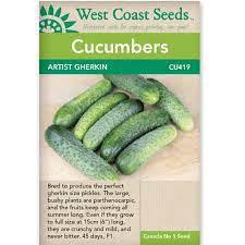 Seeds - Cucumber, Artist Gherkin