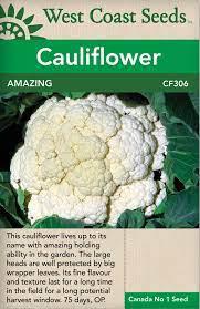 Seeds - Amazing Cauliflower