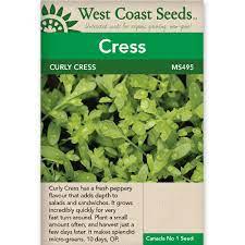 Seeds - Curly Cress Peppergrass