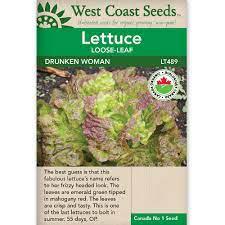 Seeds - Drunken Woman Lettuce Certified Organic