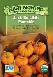 Jack Be Little Pumpkin