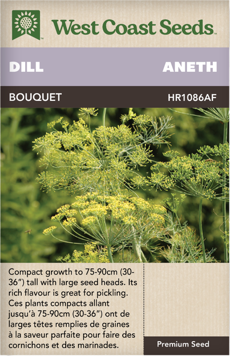 Seeds - Bouquet Dill