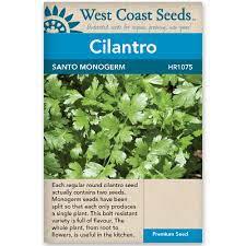 Seeds - Santo Monogerm Cilantro