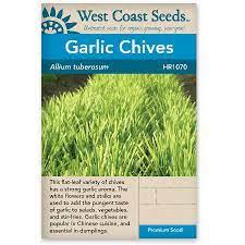 Seeds - Garlic Chives